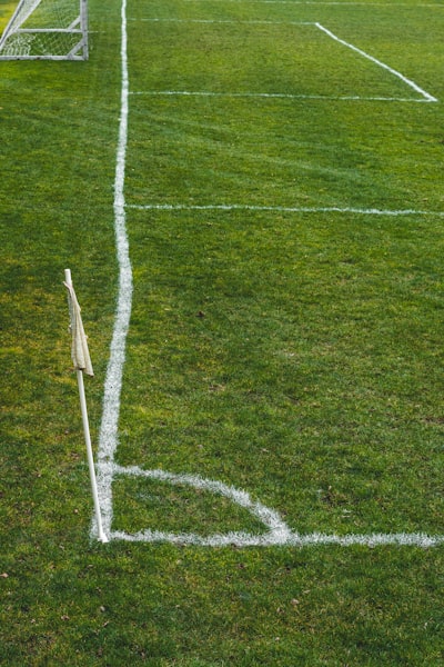 نتائج مباريات الأهلي والزمالك اليومتحديث حصري لأهم المواجهات